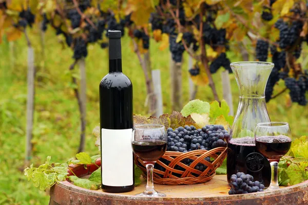 Vinha com garrafa de vinho tinto e vinhedos — Fotografia de Stock