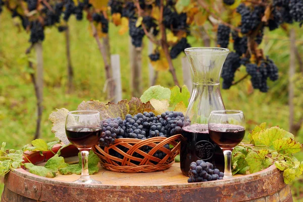 Vinhos com vinho tinto — Fotografia de Stock