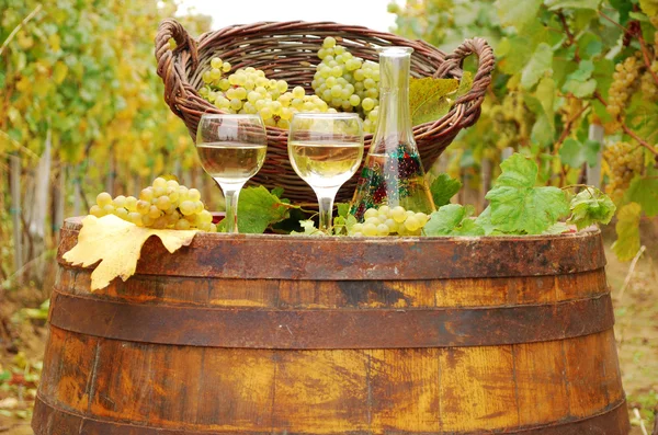 Vinho Branco Barril Madeira — Fotografia de Stock