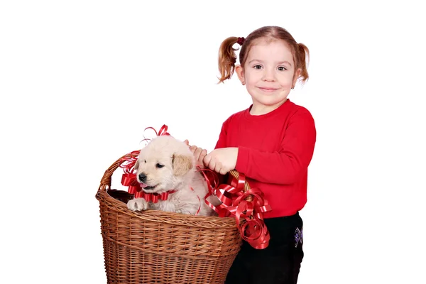 Küçük Kız Köpek Yavrusu Olan Holding — Stok fotoğraf