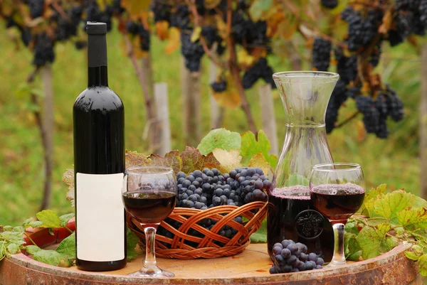 Rotweingläser und Flaschen — Stockfoto