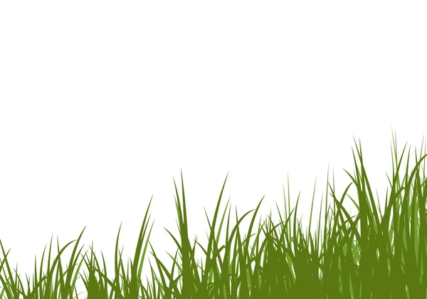 stock image Uncut grass background