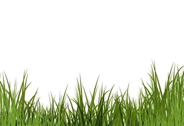 stock image Uncut grass background