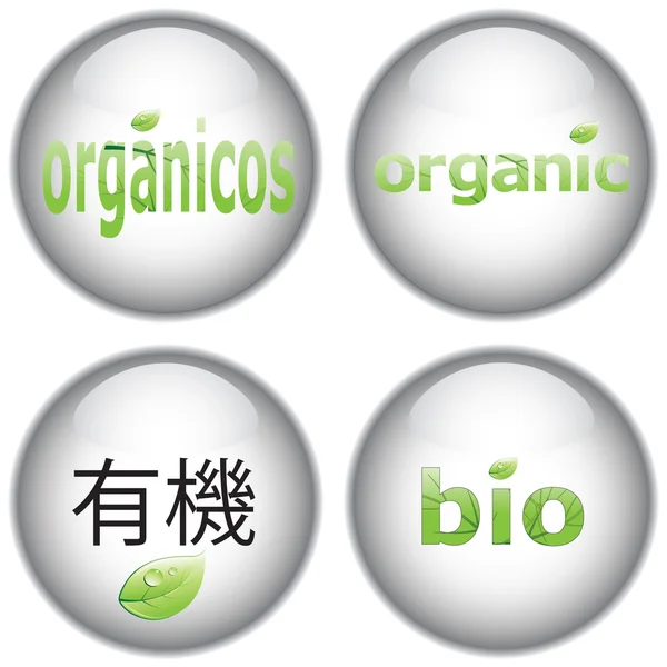 Organic buttons — Stock Vector