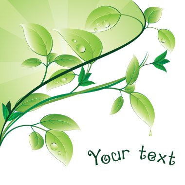 Green leaves clipart