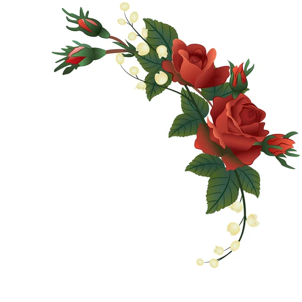 Rote Rosen Mit Maiglöckchen Auf Weißem Hintergrund — Stockvektor