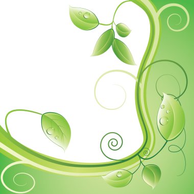 Green branch with leaves and drops. clipart