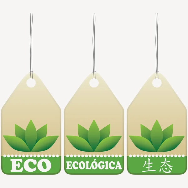 Eco Ετικέτες Σημάδια Αγγλικά Ισπανικά Κινέζικα Χαραγμένα — Διανυσματικό Αρχείο