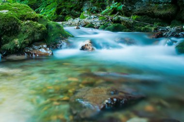 Kaludra River, Montenegro clipart