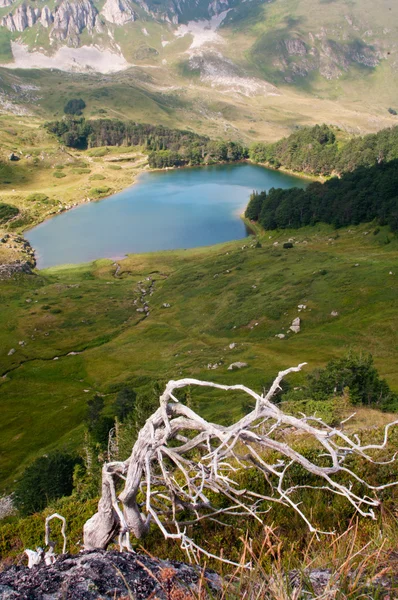 Jezioro Pesica, Czarnogóra — Zdjęcie stockowe