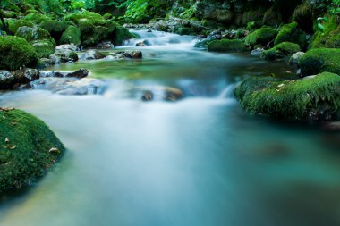 Kaludra River, Montenegro clipart