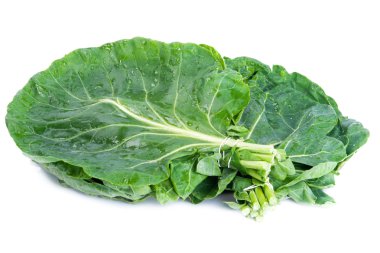 Wild Cabbage clipart