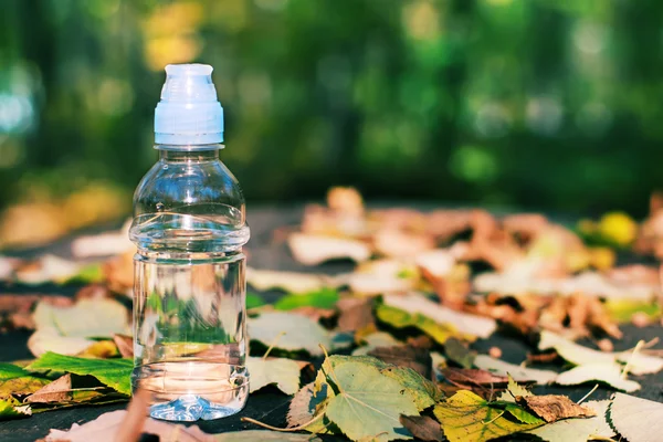 stock image Bottle of water in the autumn motif