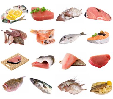 Fish and fish fillets clipart