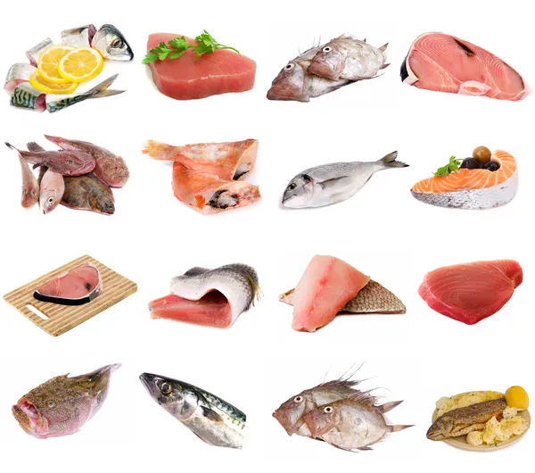 Peixes e filetes de peixe — Fotografia de Stock
