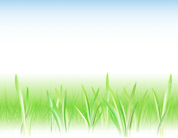 背景与草和滴pozadí s trávou a kapky — Stockový vektor