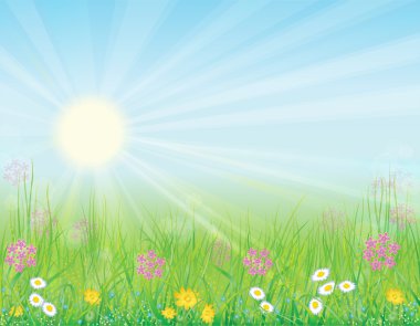 Background with sunny meadow clipart