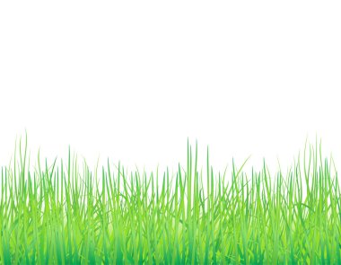 Background with the grass clipart