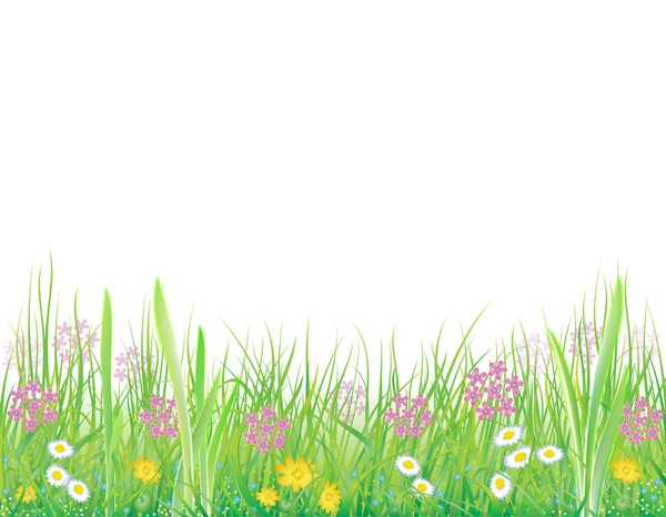 Hintergrund mit Sommerwiese — Stockvektor