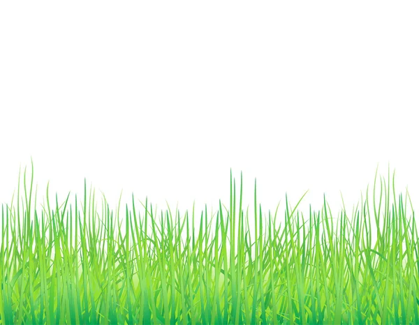 Hintergrund mit dem Gras — Stockvektor