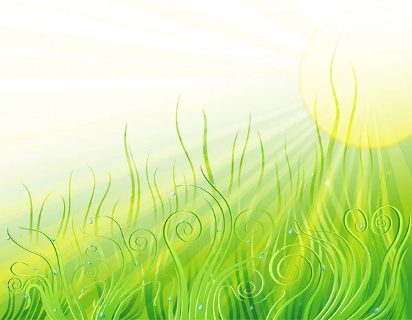 Prairie ensoleillée — Image vectorielle