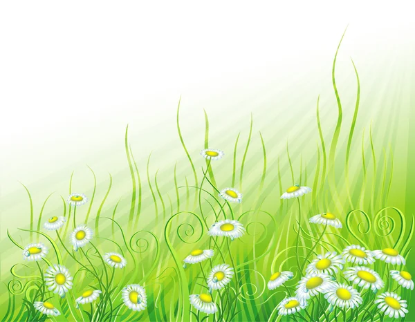 Prairie ensoleillée avec des fleurs — Image vectorielle