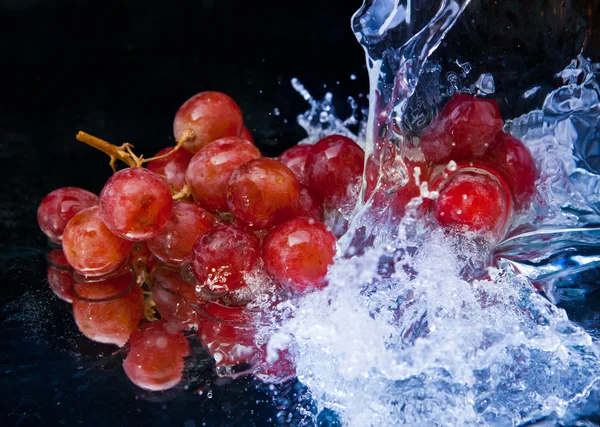 stock image Grapes