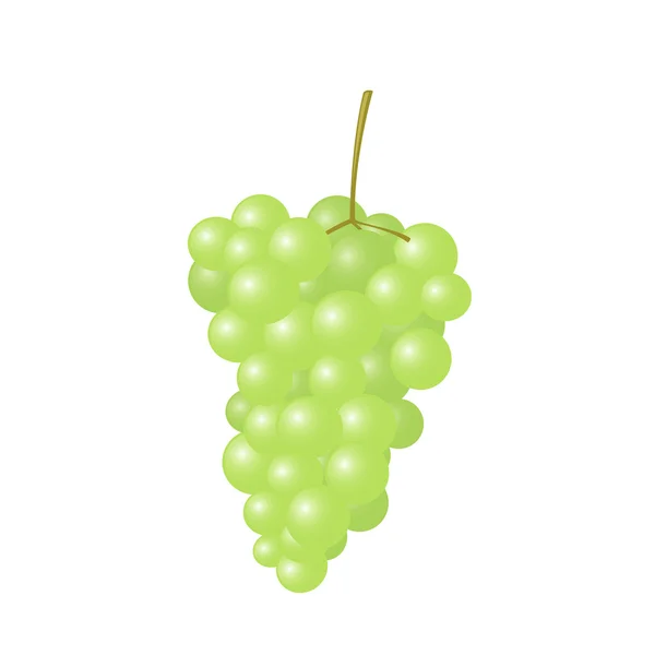 Uvas verdes — Vetor de Stock