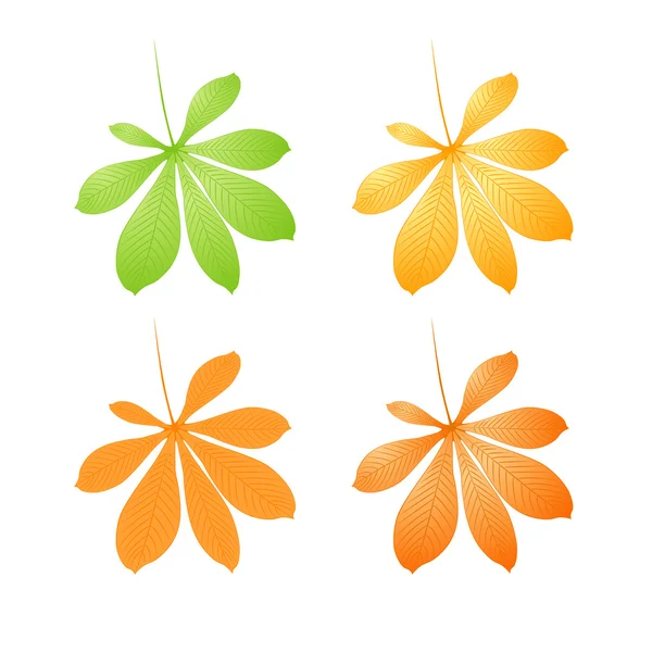Herfst kastanje bladeren — Stockvector
