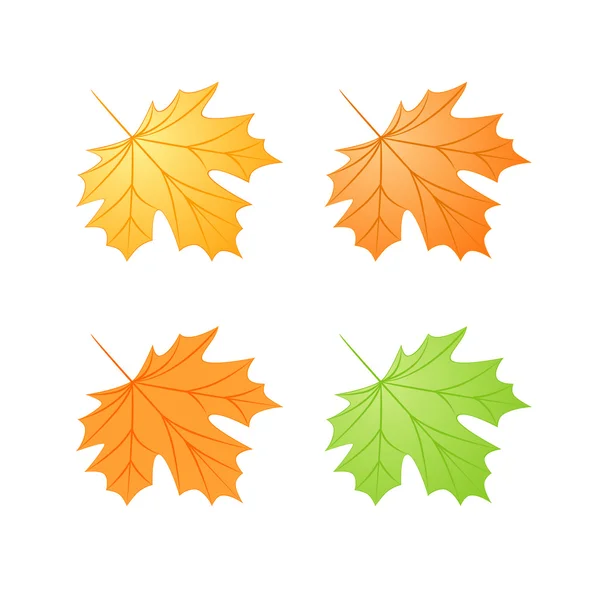 stock vector Autumn maple leafs