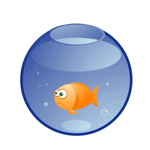 Rädd orange fisk i akvariet — Stock vektor