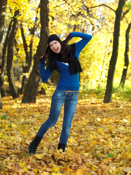 Schoonheid in de herfst — Stockfoto