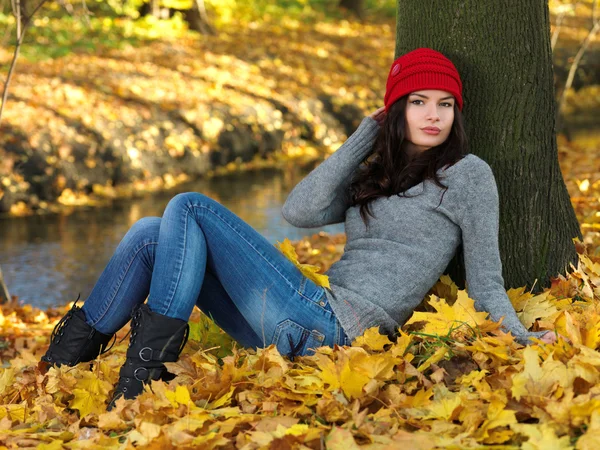 Schönheit im Herbst — Stockfoto
