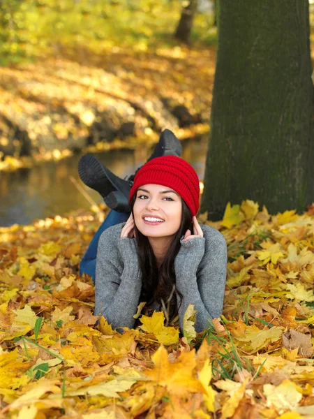 Belleza durante el otoño —  Fotos de Stock