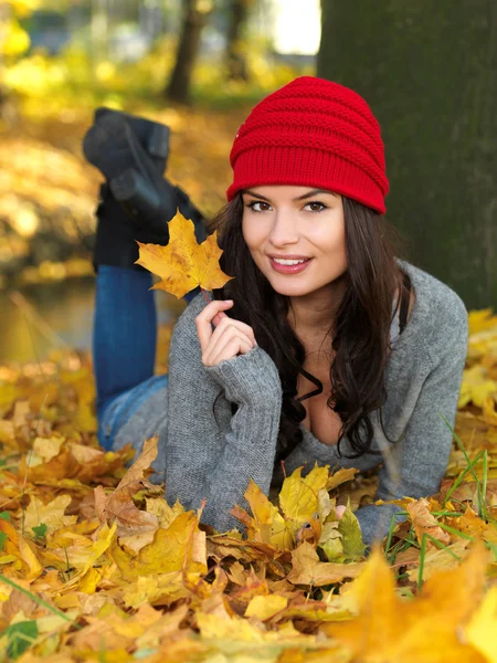 Beauty during autumn — Stock Photo, Image
