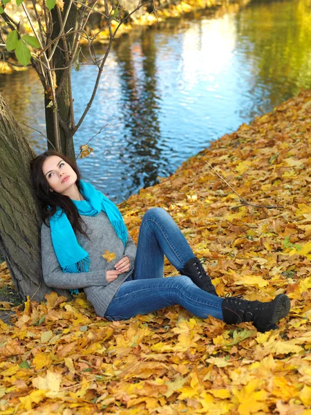 Schoonheid in de herfst — Stockfoto