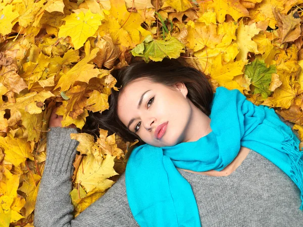 Skönhet under hösten — Stockfoto