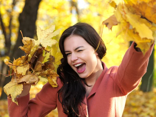 Belleza durante el otoño — Foto de Stock