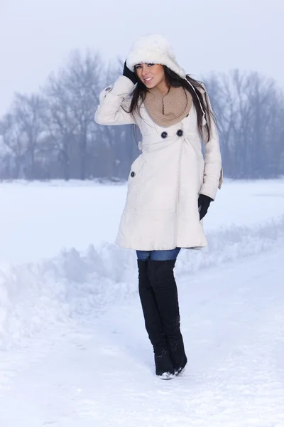 Belleza en el aire libre nevado —  Fotos de Stock