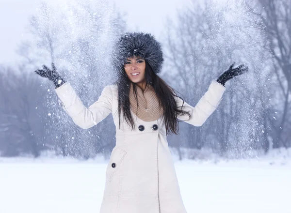 Belleza en el aire libre nevado — Foto de Stock