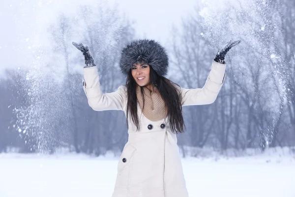 Belleza en el aire libre nevado — Foto de Stock