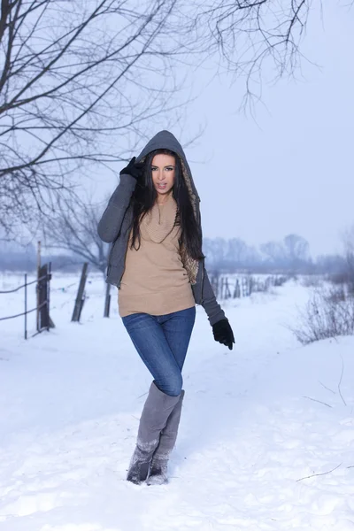 Belleza en el aire libre nevado —  Fotos de Stock