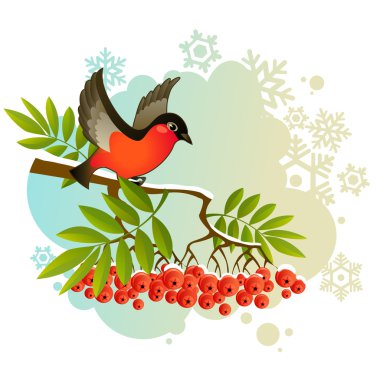 Kırmızı şakrak kuşu