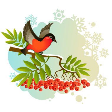 Red bullfinch clipart