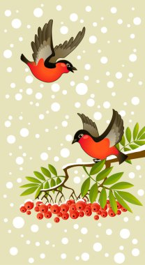 Two red bullfinches on winter background clipart