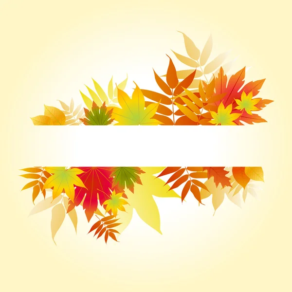 stock vector Autumnal leaves on white background