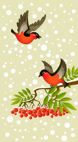 stock vector Two red bullfinches on winter background