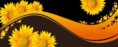 Beautiful yellow Sunflowers on black background clipart