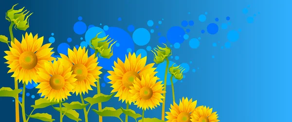 Schöne Sonnenblumen — Stockvektor