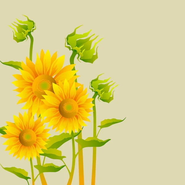 Mooie Gele Zonnebloemen Sepia Achtergrond — Stockvector